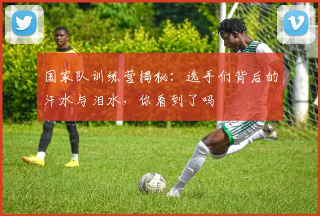 国家队训练营揭秘：选手们背后的汗水与泪水，你看到了吗